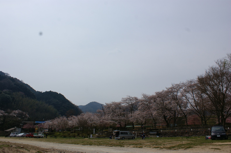 お花見キャンプ　in　笠置キャンプ場♪　その②_f0161964_22474350.jpg