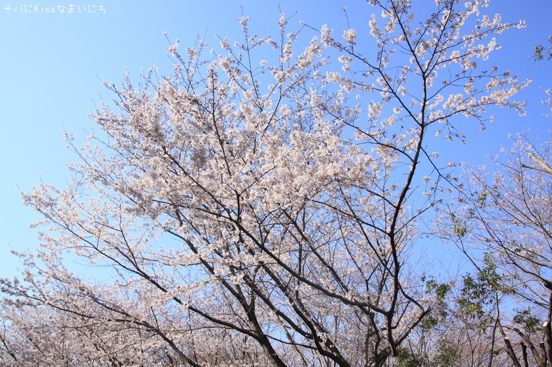 b0131071_110198.jpg