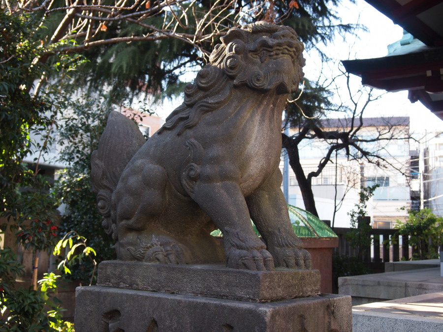 e0163471_1756026.jpg