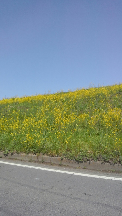 c0231772_15424474.jpg