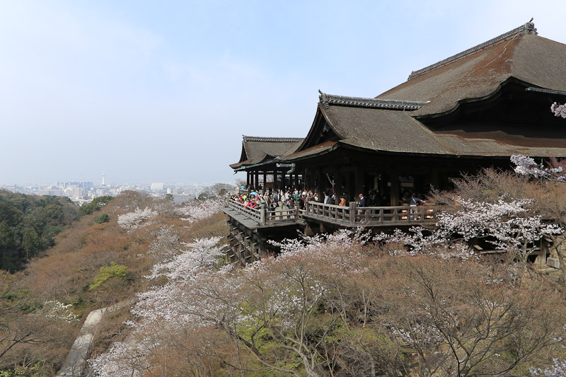 春の清水寺へ_f0224083_23555144.jpg