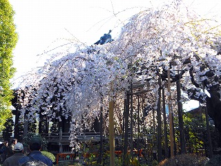 e0121589_16205890.jpg