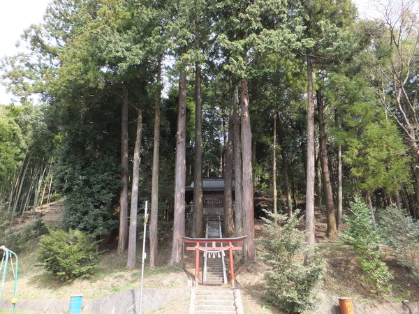 d0034291_20415021.jpg