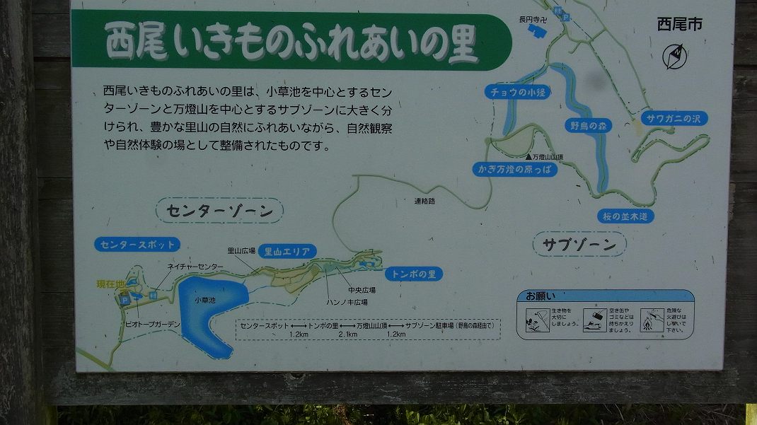 a0152692_17385986.jpg