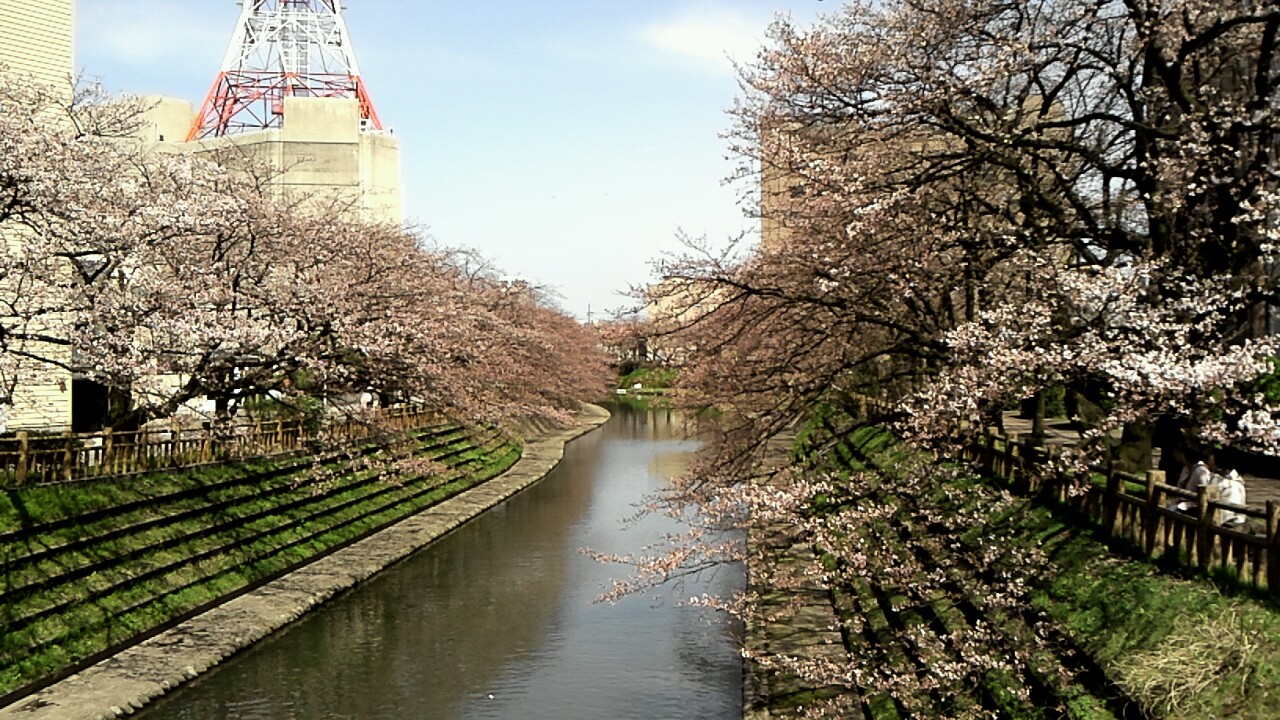 幸運の、、、ではなかったが_e0105596_84309.jpg