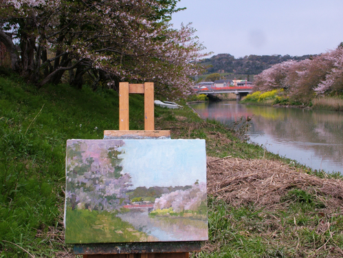 菜の花と桜（牧之原市・勝間田川）_b0220000_1185765.jpg