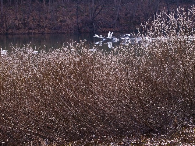 c0008502_20353996.jpg