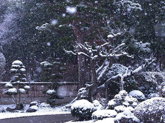 c0008502_2058265.jpg