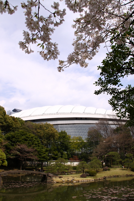 小石川後楽園の枝垂れ桜・・・5_d0248502_1253784.jpg