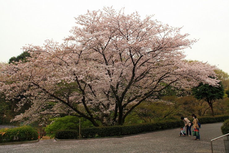 e0262305_23505045.jpg