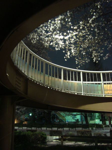 e0236809_17223856.jpg