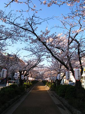 c0155110_12273414.jpg