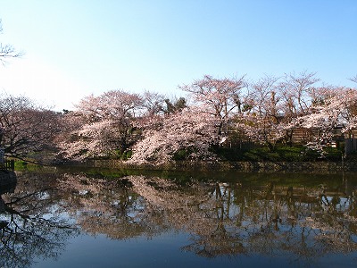 c0155110_12275565.jpg