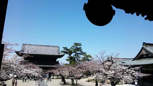 c0155110_12283043.jpg