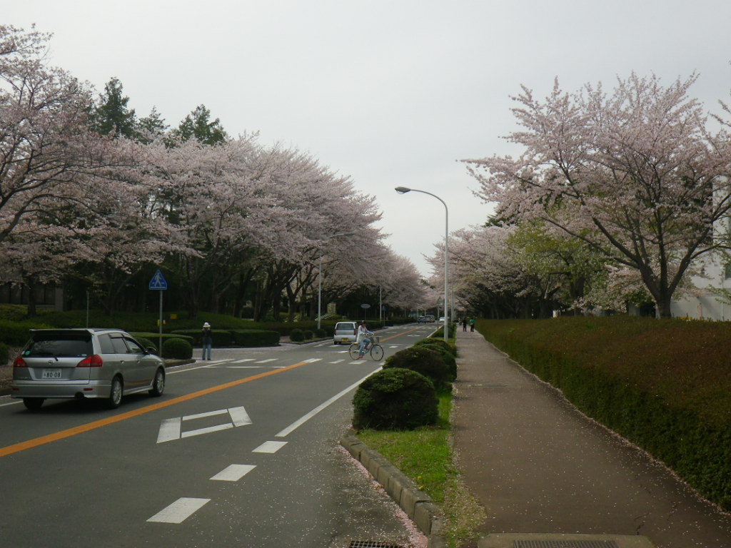 f0230410_2385728.jpg