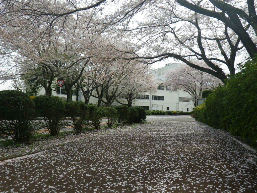 f0230410_2391219.jpg