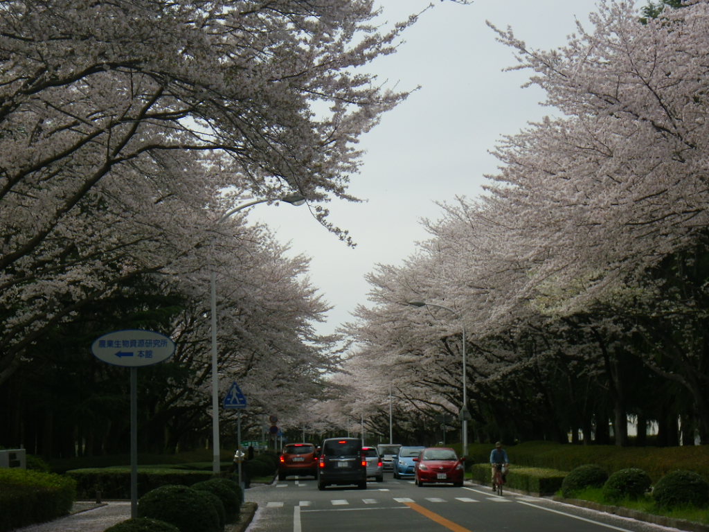 f0230410_2395498.jpg