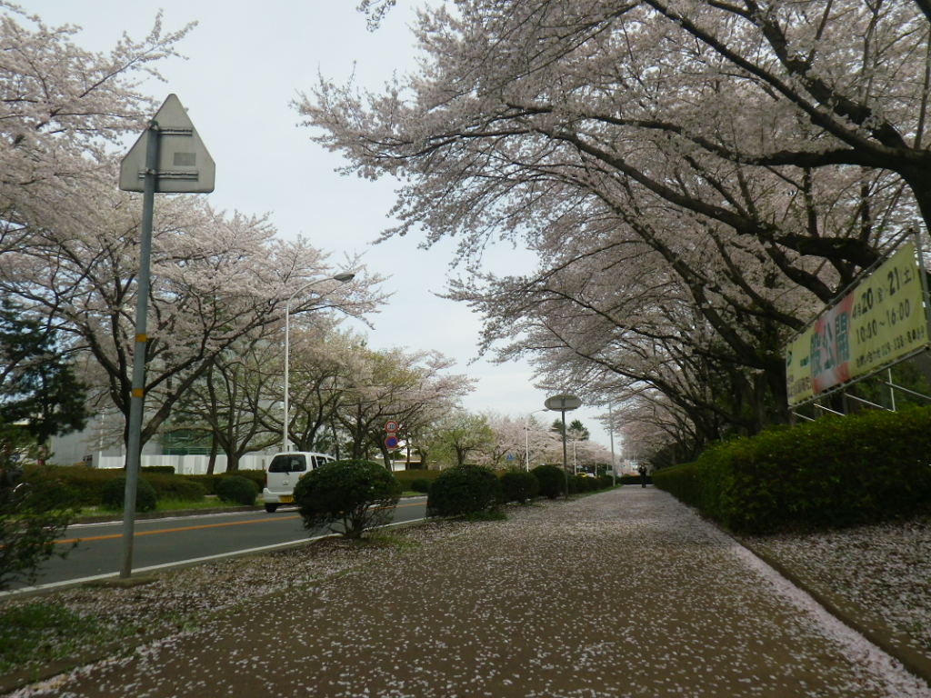f0230410_240173.jpg