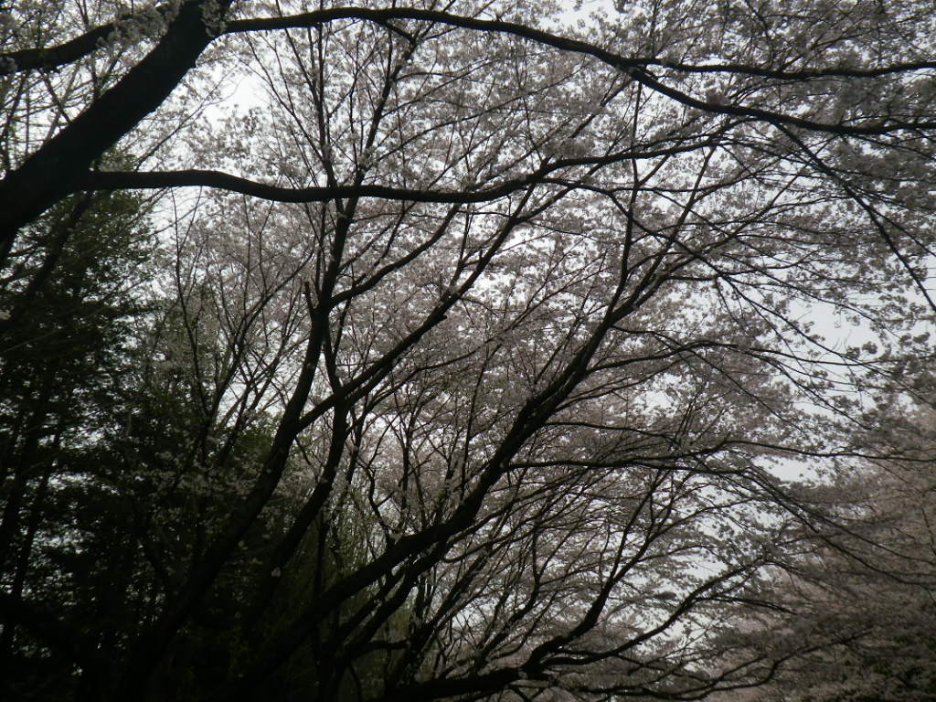 f0230410_242251.jpg