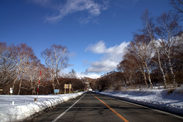 b0244811_21134616.jpg