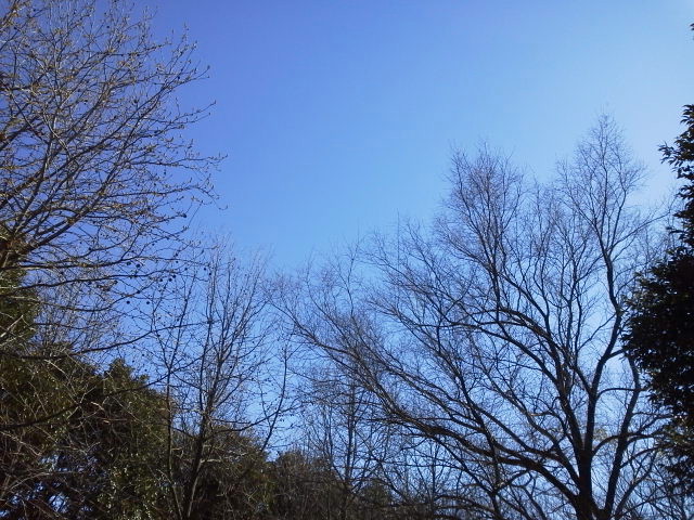 d0235816_18102976.jpg