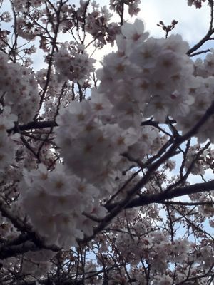 b0209720_947337.jpg