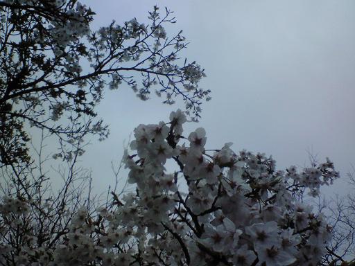 c0097620_1122836.jpg