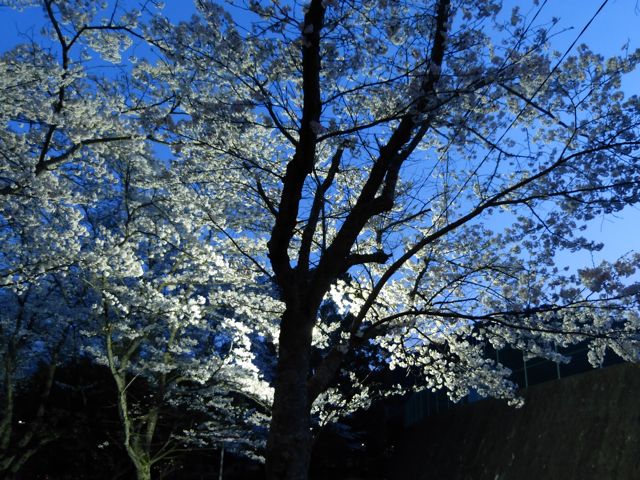 a0188023_9365386.jpg