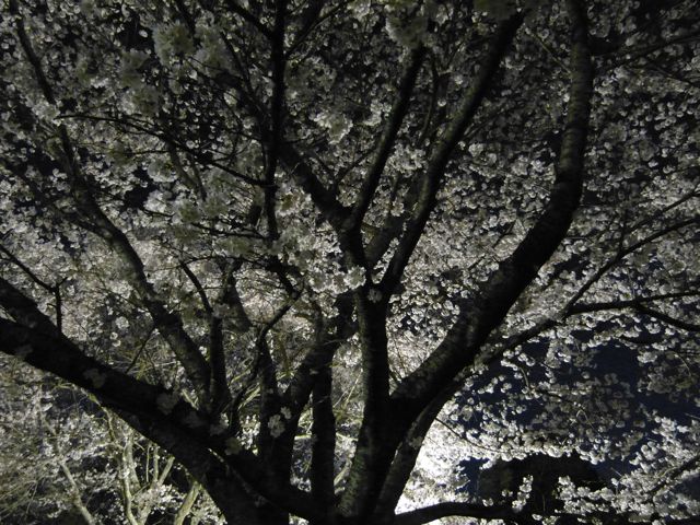 a0188023_9391594.jpg
