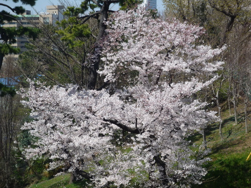 b0156324_2257569.jpg