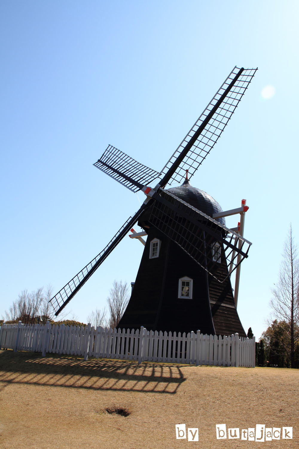 e0220828_16201671.jpg
