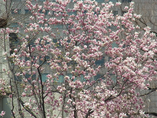 b0159631_15574256.jpg