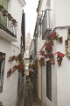 b0055939_1741125.jpg