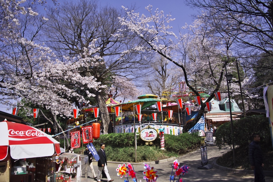 桜を再び---上野公園より2_c0236843_1952979.jpg