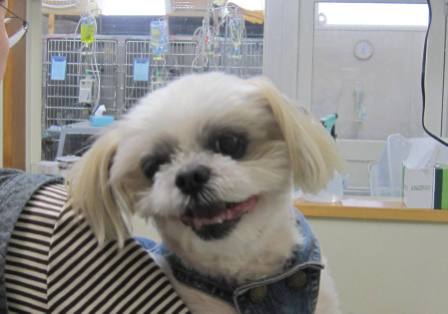 4月 13日の写真_c0174644_15142356.jpg