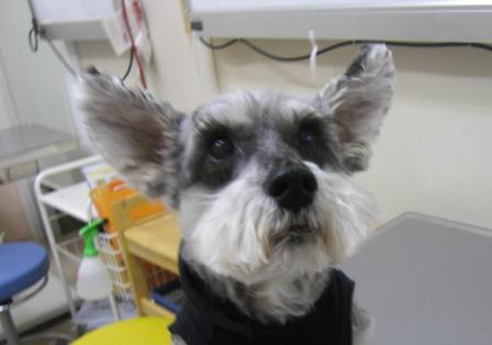 4月 13日の写真_c0174644_15173577.jpg