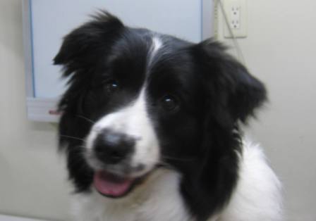 4月 13日の写真_c0174644_1517726.jpg