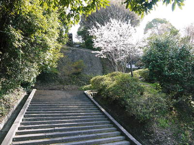 ＦＬＣ日記　菊池神社の階段_a0254656_11122062.jpg