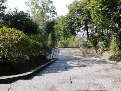 ＦＬＣ日記　菊池神社の階段_a0254656_11233060.jpg