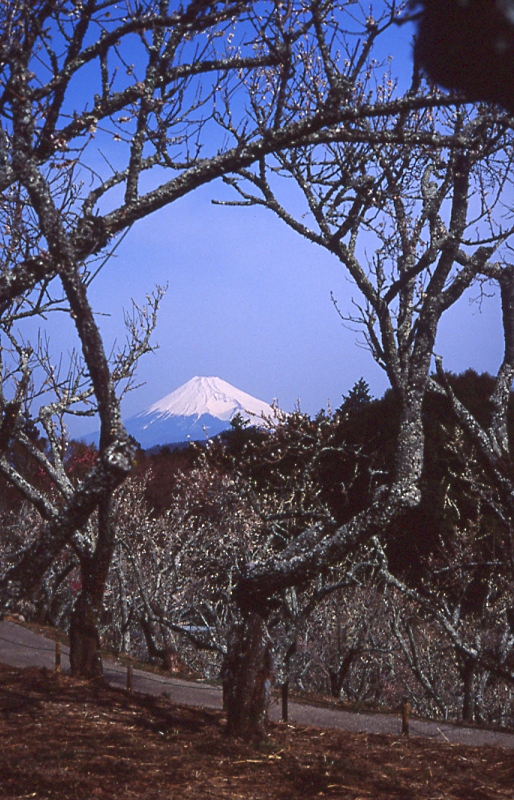 e0134658_105752.jpg
