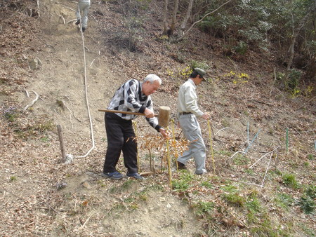 みさき里山クラブ「お花見パーティー」　in　孝子の森_c0108460_16513531.jpg