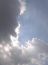 e0194060_2382972.jpg