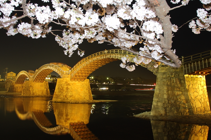 2012　桜前線北上中! (錦帯橋　night session)_c0213564_2271968.jpg