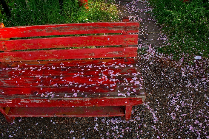 雨が上がった朝_b0221065_1343629.jpg