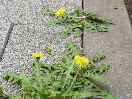 a0222070_304895.jpg