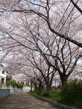 a0219573_0162518.jpg