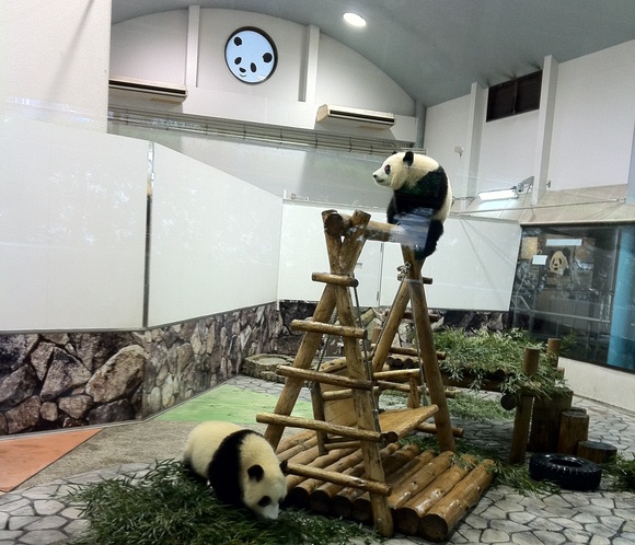 小さな点から…_a0261573_12441720.jpg