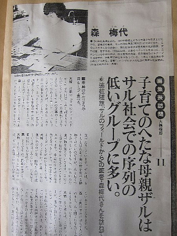 サルの料理法を発見した人_b0141773_22311835.jpg