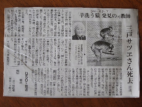 サルの料理法を発見した人_b0141773_224783.jpg