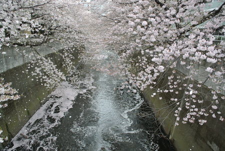 f0154478_1043561.jpg